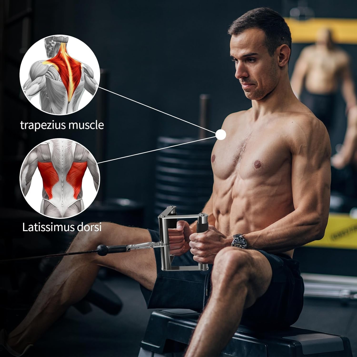 Triceps Pull down Attachment, Cable Machine Accessories for Home Gym, LAT Pull down Attachment Weight Fitness